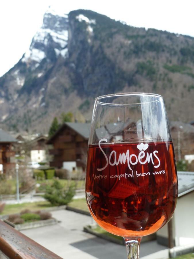 Samoens Studio Extérieur photo